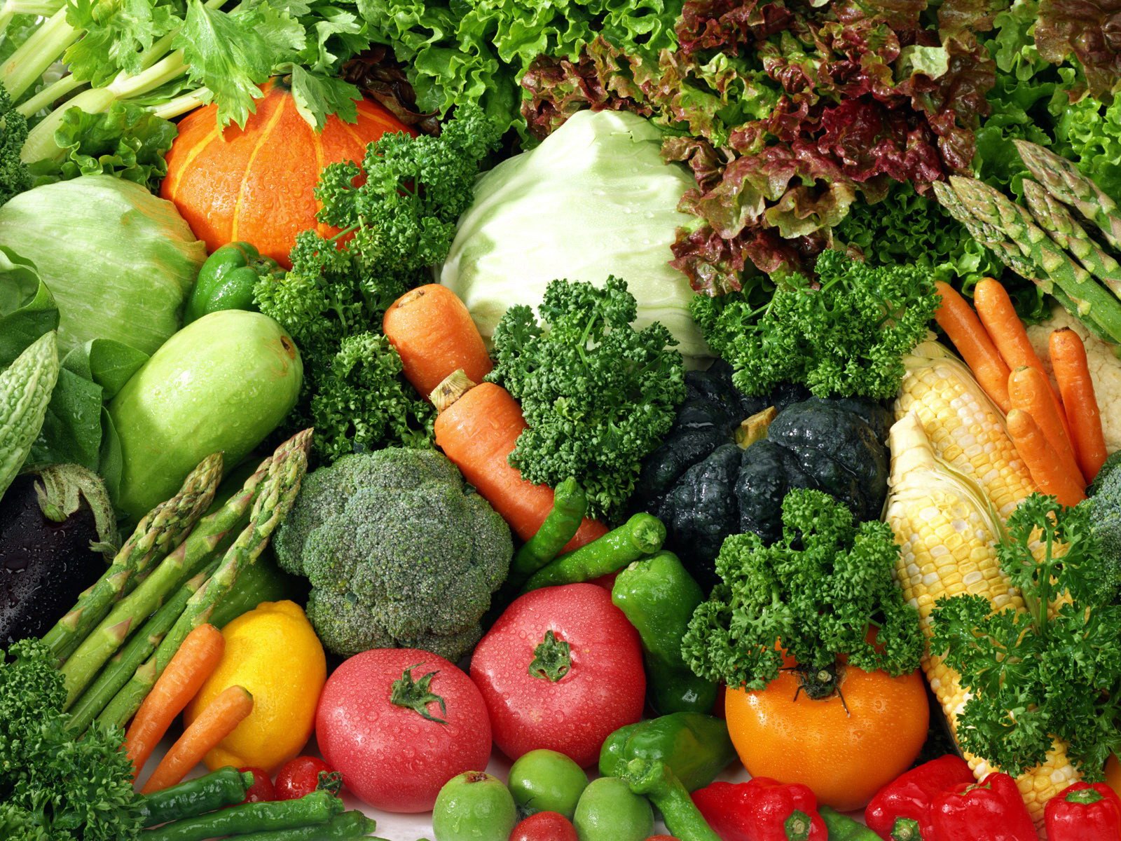 Organic, Pesticide-Free, and Hydroponic Veggies | noelsutabutr
